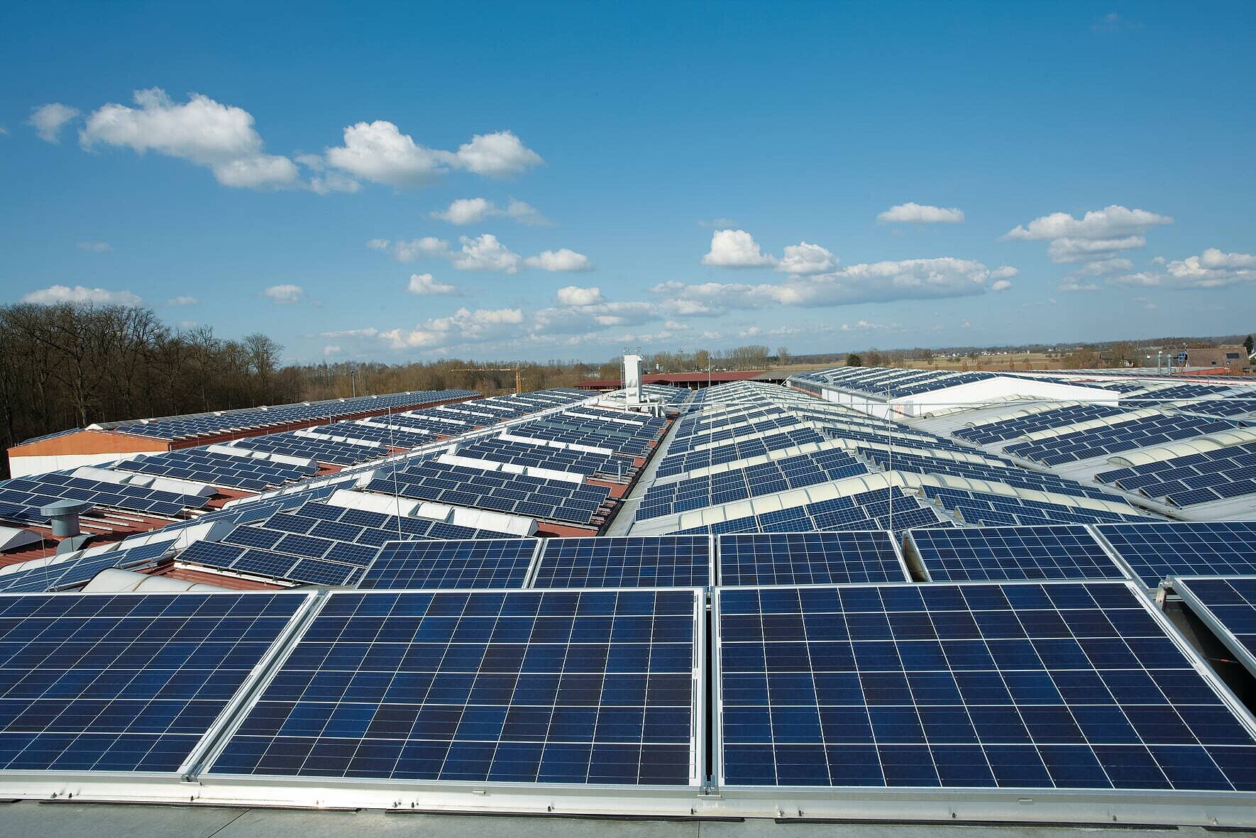 Die Ansicht zeigt das Dach der WeberHaus Produktion in Rheinau-Linx, das mit einer PV-Anlage ausgestattet ist.